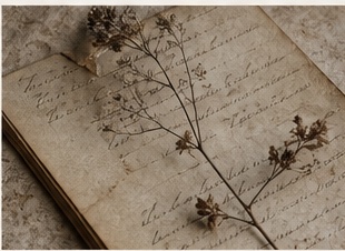 Aged paper and a small found object